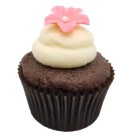chocolate vanilla cupcake
