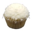 Coconut Cupcake